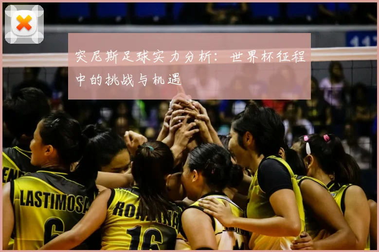 突尼斯足球实力分析：世界杯征程中的挑战与机遇
