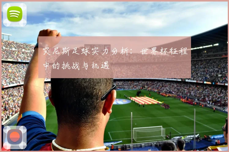 突尼斯足球实力分析：世界杯征程中的挑战与机遇